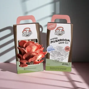 Custom Mushroom Boxes